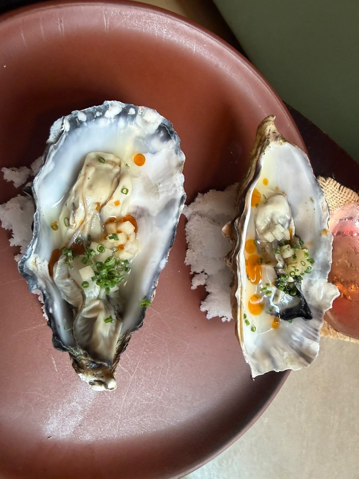 Oysters at the table